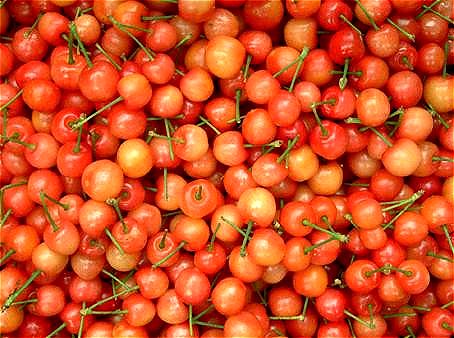 让梦随心飞！的主播照片