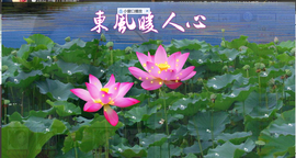 ஐﻬ⋋煙⋌ﻬஐ主播照片