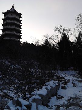 雨中丽人主播照片