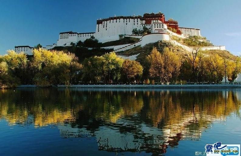 ♚心中的帅哥🌾主播照片