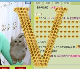 三笑😊😄😊主播照片