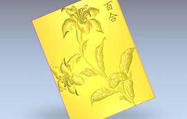 baihe主播照片