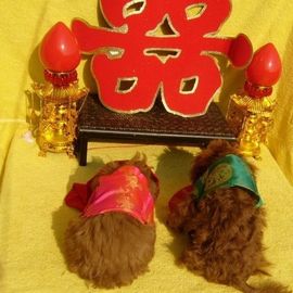 国-王主播照片
