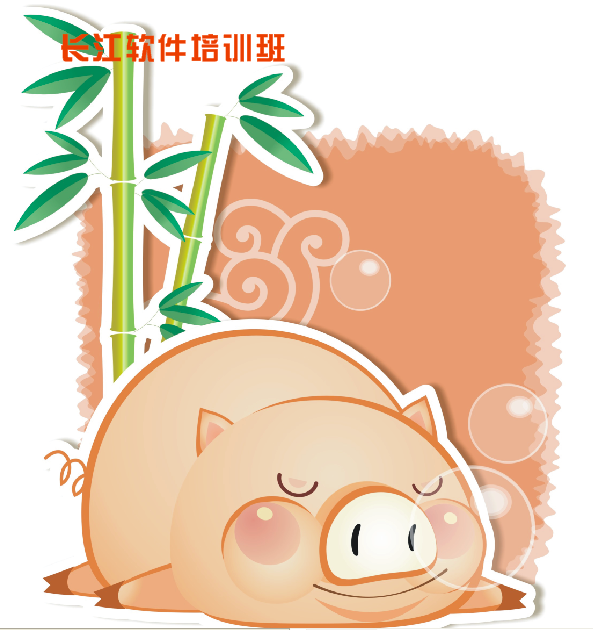 软件教学的主播照片