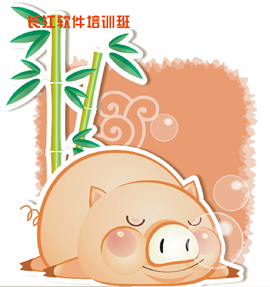 软件教学主播照片
