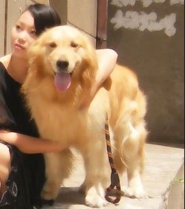 靈〓妖‰妹√主播照片