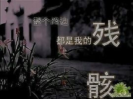 冥王女茂茂主播照片