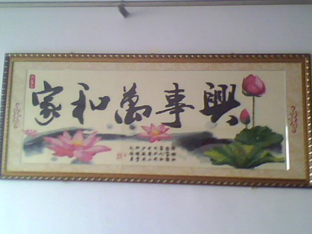回忆以前9595的主播照片
