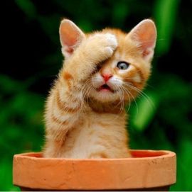 草根猎人主播照片