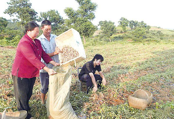 秦倩倩06gjnp的主播照片