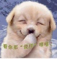 大家都叫我阿周的主播照片