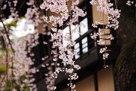 じ❤┋※尐幸福主播照片
