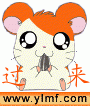 三哥：龍の传人的主播照片