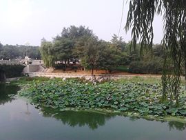 雨中丽人主播照片