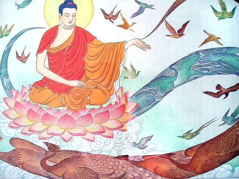 ๑۩莲۞禅۩๑的主播照片
