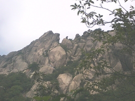 ˋ★│巫毒♂权哥°主播照片