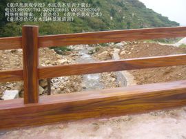 袁洪亮景观艺术音乐艺主播照片