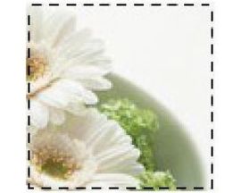 妩媚阳光.主播照片