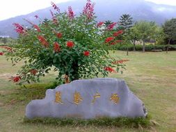 $为你而来！的主播照片