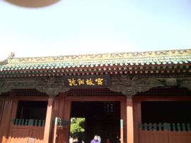 坐在墙下等红杏主播照片
