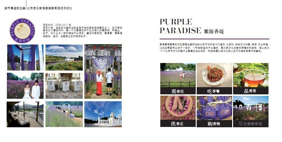 北京盛阳世纪文化传播的主播照片