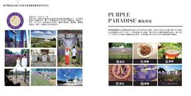 北京盛阳世纪文化传播主播照片