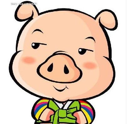 猪头微博：猪头笑话的主播照片