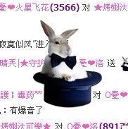 ❤❤洛洛主播照片