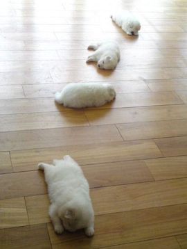 ☜♥姑姑☞主播照片