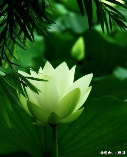 ★﹍゛愛我所愛♂的主播照片