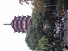 小健5778主播照片