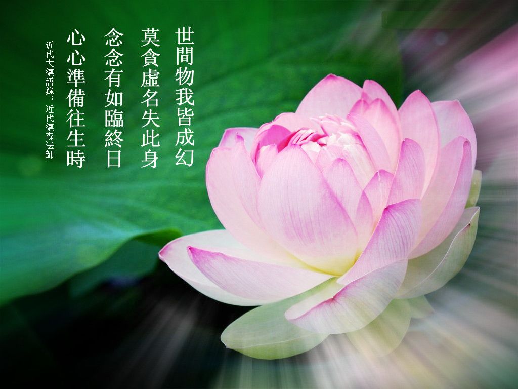 阿弥陀佛!的主播照片