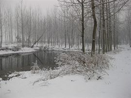 闵威1995主播照片