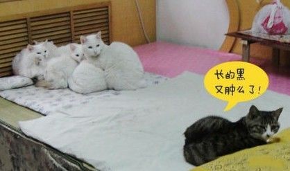 ~~~~~~木子的主播照片