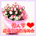心甘情愿爱你主播照片