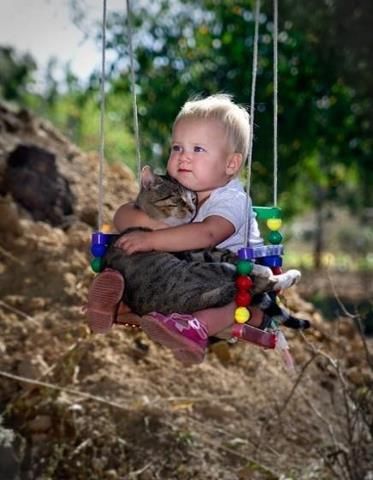 無良心笨牛的主播照片