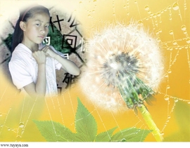 小可爱·主播照片
