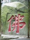 瑞木林莎的图片