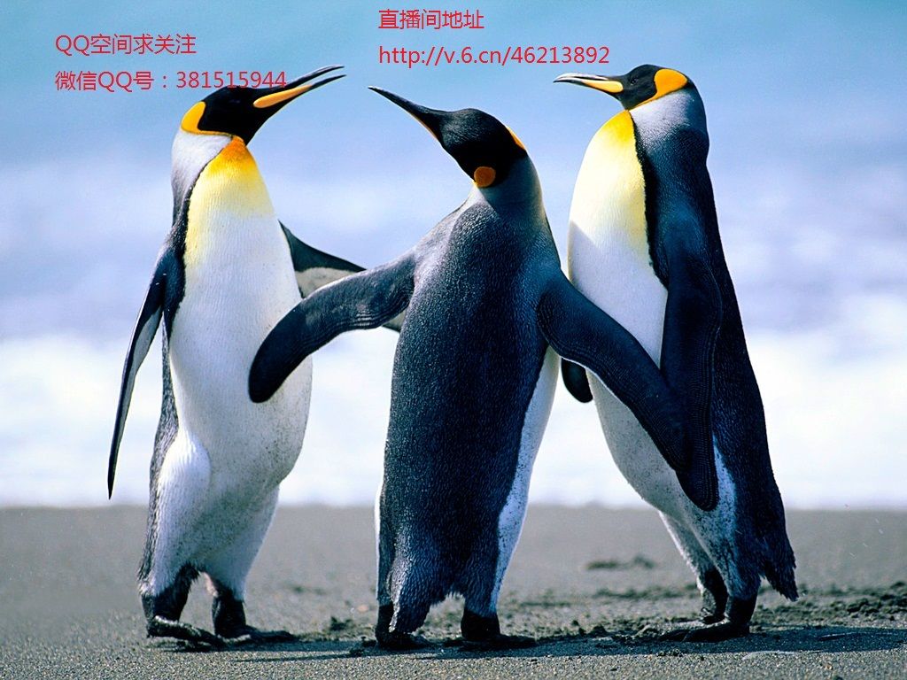 蛋疼de青春、的主播照片