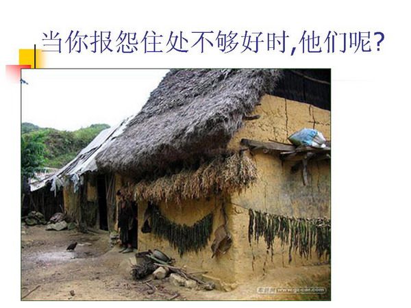 关注你的川哥的主播照片