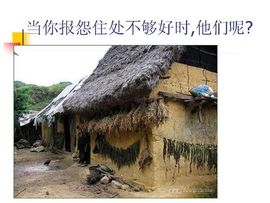 关注你的川哥主播照片