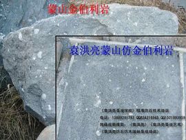 袁洪亮景观艺术音乐艺主播照片