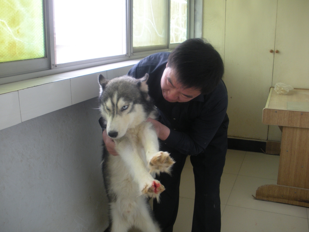 ♪❤深蓝的主播照片