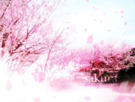 ︶￣❀令妃︶￣❀主播照片