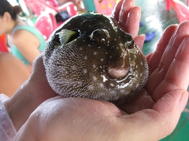 ♪♪曉易♪♪主播照片