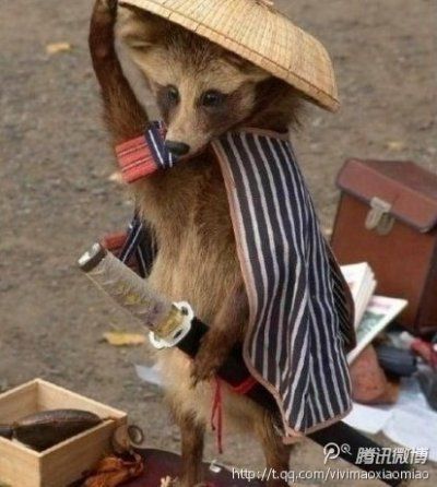 龍?夢?高的主播照片