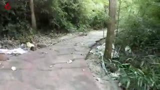 古寨水泥仿原生态 水泥仿石阶梯 木围栏