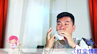 红尘情歌