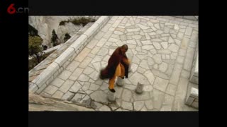 少林梅花桩 释德建禅师
