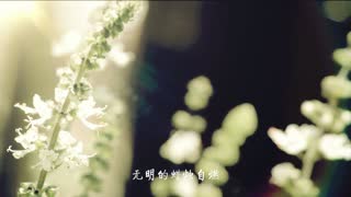 星球文明之永恒的生命